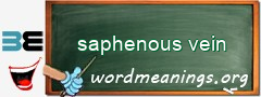 WordMeaning blackboard for saphenous vein